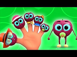 mận gia đình ngón tay | bài hát gia đình ngón tay | vần bé | Plum Finger Family | Finger Family Song