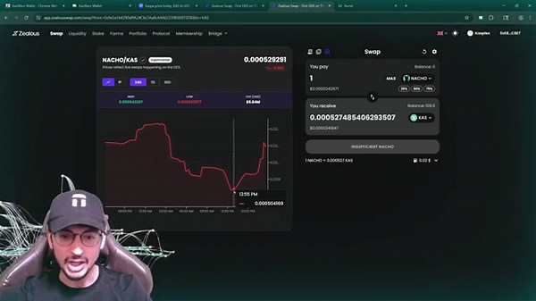 Kaspa Wallet Setup for L1 and Smart Contracts