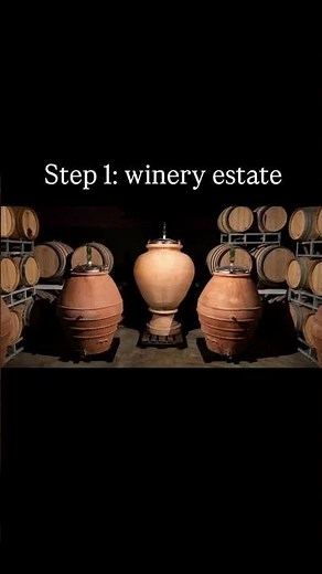 Private Chianti Wine Tour from Florence | Wine, Olive Oil and Bistecca #shorts
