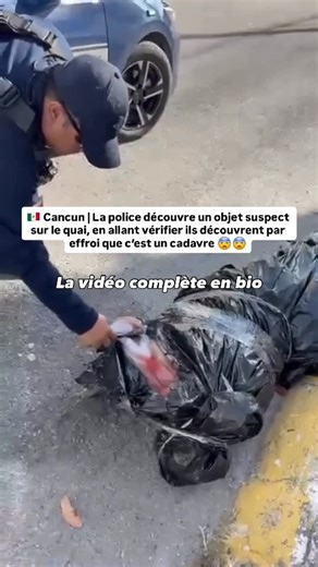 ActuImpact on Instagram: "Horrible découverte à sur le quai de Cancun au Mexique 👹 🇲🇽 - - - #mexique #quai #cancún #cartel #choc #actualité #actu #faitdivers #police"