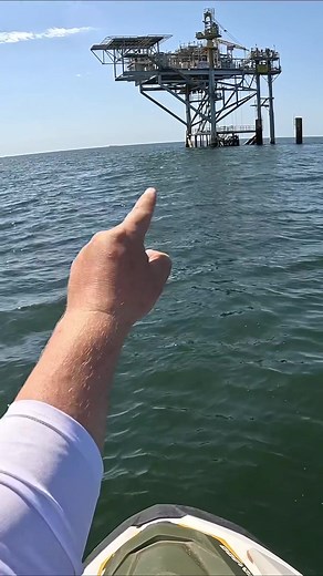 I tossed a fake crab and caught these offshore fish!! #fishing #southernsalt #fish #saltwaterfishing #adventure #offshorefishing #jetski #seadoo