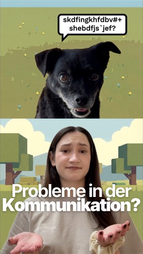 🐾 Verstehst Du Deinen Hund wirklich? Martin und sein Team lüften im Fachseminar in einer Reihe spannender Vorträge das Geheimnis der Mensch-Hund-Kommunikation. Erfahre, wie echte Verständigung entsteht – praxisnah, fundiert und verständlich erklärt. Natürlich mit Fragerunde: Bring Deine Fragen mit und geh mit neuen Erkenntnissen nach Hause. ✨ 👉 Jetzt Platz sichern! | Martin Rütter SHOP