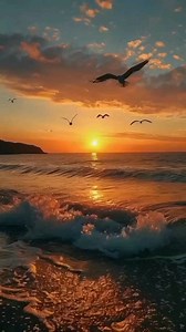 Daily Inspiration: God's Word for You Today 📖✨🌻🌿🕊️💖🙏. | Daily quotes