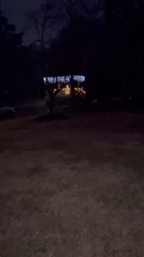 As Christmas 2025 sails into New Year, Phyllis and I Hope everyone had a great Christmas and have a wonderful New Year! | Ned Phillips