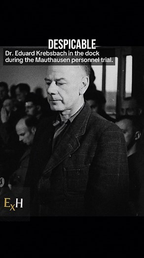 Brutal SS Eduard Krebsbach - Hanged For His Atrocities At Mauthausen Camp #TheFirstHunt #usarmy #specialforces #WWII #history | The First Hunt