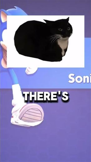 The origin of cat Memes. part-1