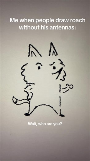 The Roach Cod Operator Mystery Unveiled