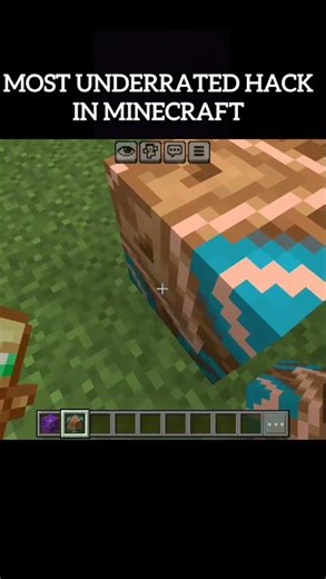 Minecraft Viral Tiktok hacks in Minecraft #minecraft #shorts