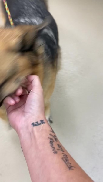 64K views · 5.7K reactions | A016268 Located At: Clayton County...