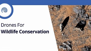 Drones and wildlife conservation go hand in hand欄 UAV technology has...