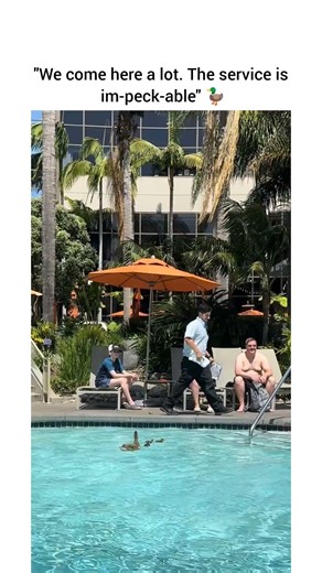 Get your Amazon gift card in bio 🎁 #funny #shortsviral #shortvideos #viral #viralvideo #trending