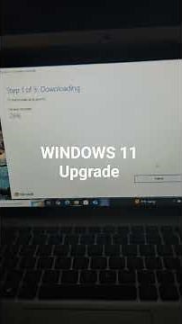 Windows 11 upgrade