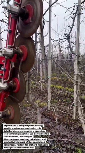 Orchard Efficiency: Precision Tree Trimming with Advanced Machinery