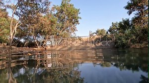 Ein shokek spring, in the spring valley - Israel, clear water against a background of plants