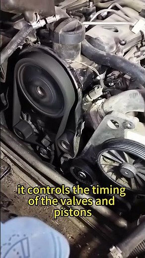 What Is a Timing Belt?