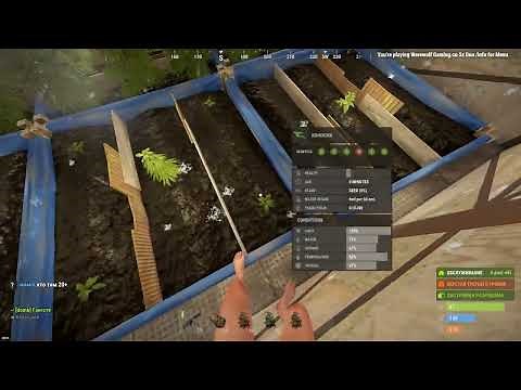 RUST - КАК БЫСТРО ВЫВЕСТИ ТОП ГЕН?