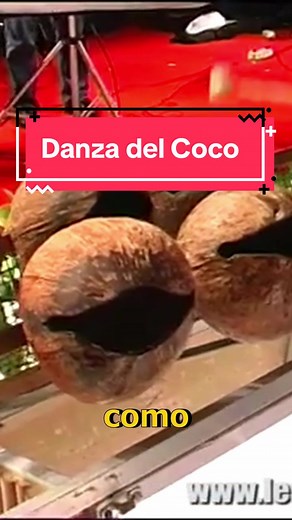 Descubre la danza del coco, tradición colombiana