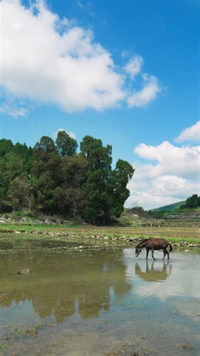 12K views · 459 reactions | Crafting Beauty in Clay The Art of Zisha...