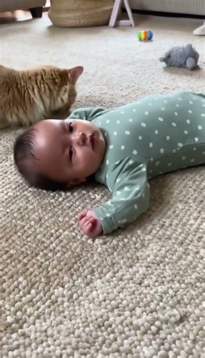 この行動、すぐ理解できた？ #ペット #赤ちゃん #shorts