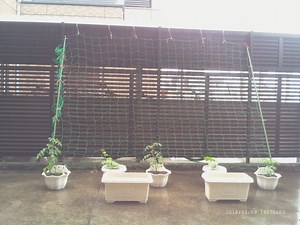 Raspberry Piで自動撮影してタイムスタンプ入りタイムラプス動画を生成する方法 - karaage. [からあげ]