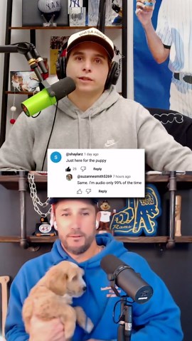 Cutest puppy of all time makes podcast debut #cute #animal #dog #dogs #puppy #puppies #baseball #mlb