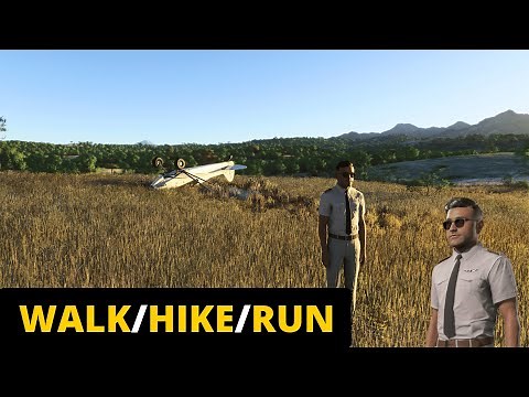 MSFS 2024 Tutorial: Master the Walkaround Feature Like a Pro!