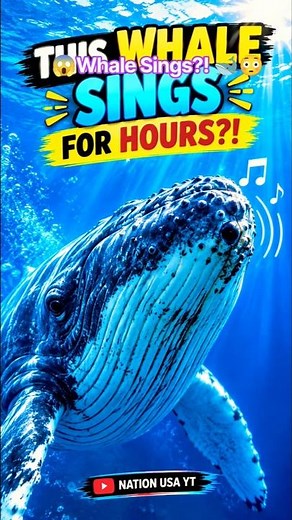 Whale Sings?! 🐋😳