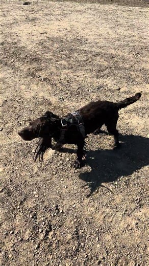 Splashing around in the lake