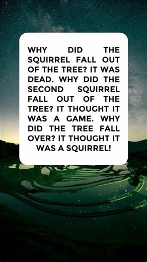 Squirrel Game 🐿️🌳 #funny #dadjoke #jokes #memes