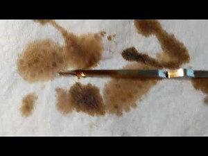 Checking the oil on a 2012 Volvo S60