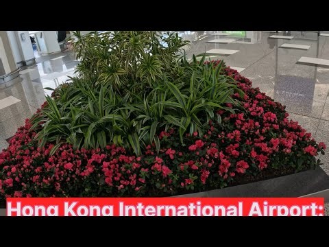 Welcome to Hong Kong International Airport Guide 2025 Terminal 1