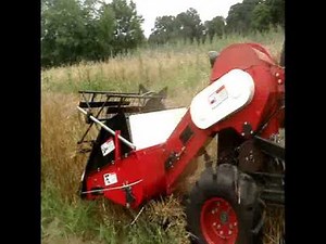 Boaz combine harvests black barley