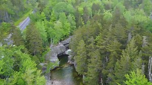 65K views · 8K reactions | Beautiful to watch HULK swim ‍♂️ 轢 | DarkDynastyK9s | Facebook