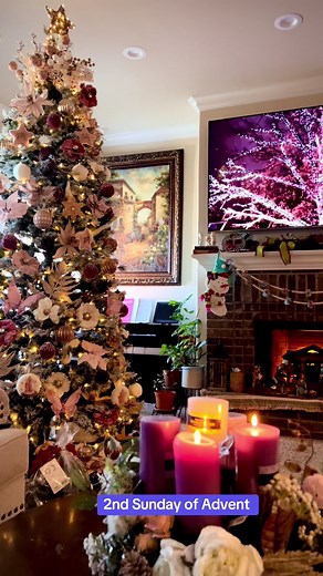 Jeanette Dolera on TikTok