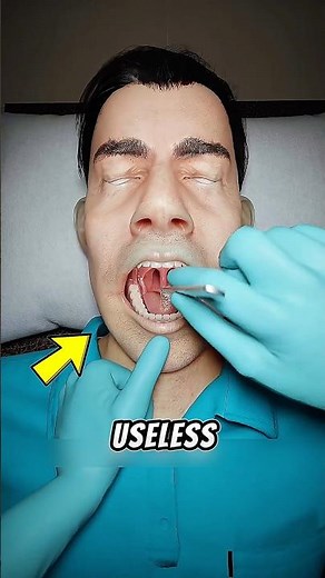 That Thing in Your Throat? It’s More Important Than You Think 😳
