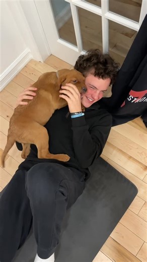 PuppyYoga Calgary on Instagram: "This Valentine’s weekend just got cuter, Yellow Labrador Retrievers are coming 💘"