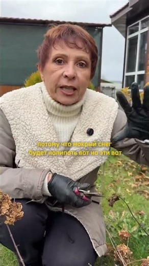 Should I prune my hydrangea in the fall?