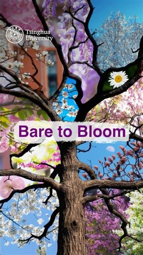 Bare to Bloom