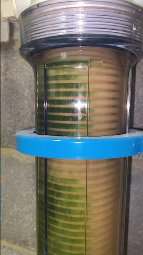 Why Is Your Water Filter Green?