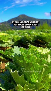 34K views · 3.2K reactions | Cost of following Jesus…. #BillyGraham #preaching #scriptures #gospelmessage #gospelreflection #SpreadTheWord #SpreadTheGospel #fypシ゚viralシ #fypシ゚ #fyp #christianreels #January2024 #billygrahamsermons #HolyGospel #ComeToJesus #AcceptJesus #Repent #commitment #salvation #followjesuschrist #Amen #Christians #spirituality #spiritualjourney #heaven #HolySpirit | Suri's Photography | Facebook