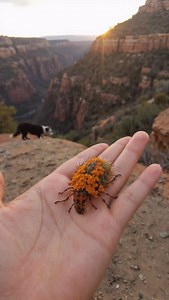 1.1M views · 172K reactions | Field Notes: August 8, 2025 Location:...