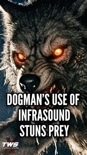 DOGMAN'S USE OF INFRASOUND #paranormalpodcast #podcast THE WEEKLY STRANGE
