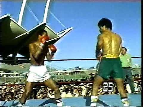 Wilfredo Benitez vs Carlos Palomino