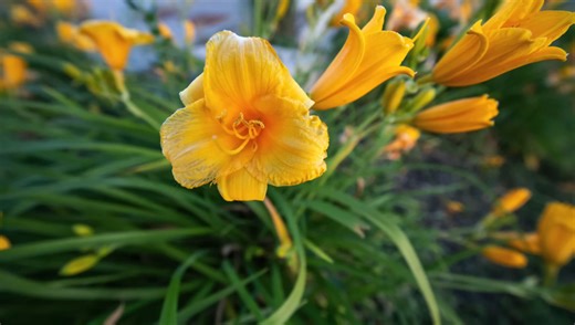 Venus Optics Laowa 12mm f/2.8: Ultra-Wide Mastery | Fstoppers