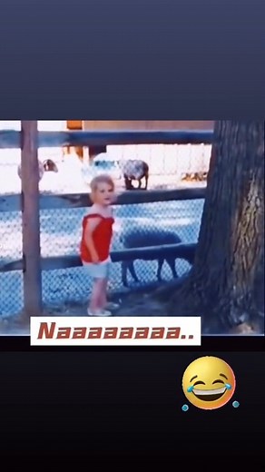 funnyvideos_just4fun | Funny videos Just Fun