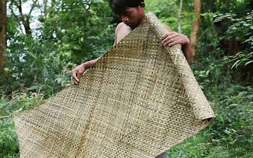 原始技术：使用露兜树树叶编织席子 [Evolution of primitive technology]