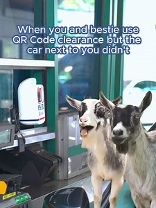 79K views · 359 reactions | More than 60% of car travellers are already using QR code for immigration clearance. Join them for fuss-free clearance at the land checkpoints for the upcoming Hari Raya Puasa public holiday. Read more: https://go.gov.sg/travel-advisory-25-mar-2024 | Immigration & Checkpoints Authority | Facebook