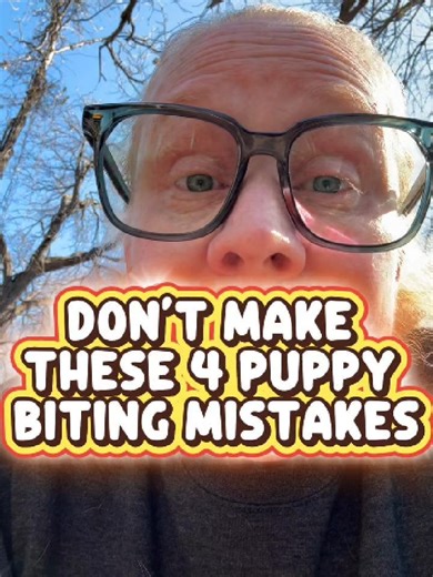 Common Mistakes That Lead to Puppy Biting