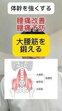 【腰痛改善腰痛予防】上半身と下半身を繋ぐ唯一の筋肉「大腰筋」を鍛えるエクササイズ