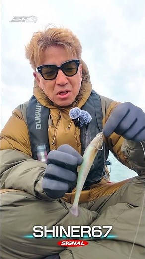 A swimbait so popular it's hard to get hold of! "SHINER 67" [Vish Okuda Manabu Big Theory] #shorts